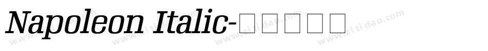 Napoleon Italic字体转换